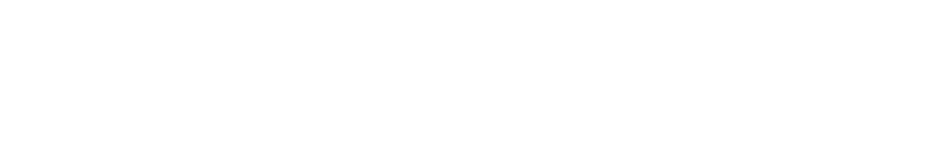 ELEMIS
