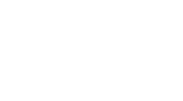 NanoBleu
