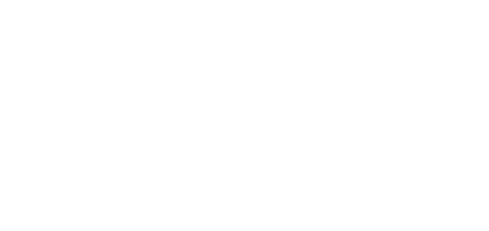 WildSteps